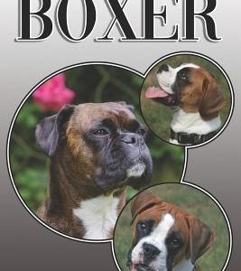The Boxer: A Complete and Comprehensive Owners Guide To: Buying, Owning, Health, Grooming, Training, Obedience, Understanding and