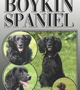The Boykin Spaniel: A Complete and Comprehensive Owners Guide To: Buying, Owning, Health, Grooming, Training, Obedience, Understanding and