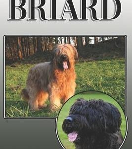 The Briard: A Complete and Comprehensive Owners Guide To: Buying, Owning, Health, Grooming, Training, Obedience, Understanding and