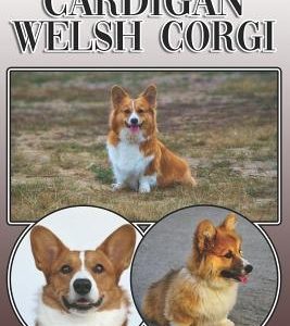 The Cardigan Welsh Corgi: A Complete and Comprehensive Owners Guide To: Buying, Owning, Health, Grooming, Training, Obedience, Understanding and
