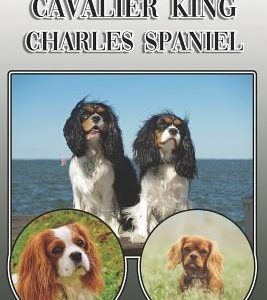 The Cavalier King Charles Spaniel: A Complete and Comprehensive Owners Guide To: Buying, Owning, Health, Grooming, Training, Obedience, Understanding