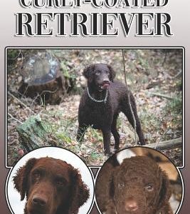 The Curly-Coated Retriever: A Complete and Comprehensive Owners Guide To: Buying, Owning, Health, Grooming, Training, Obedience, Understanding and