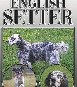 The English Setter: A Complete and Comprehensive Owners Guide To: Buying, Owning, Health, Grooming, Training, Obedience, Understanding and