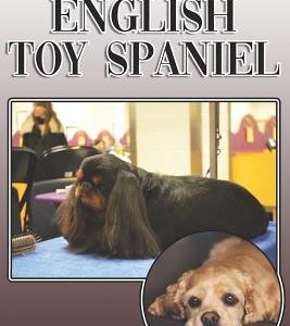 The English Toy Spaniel: A Complete and Comprehensive Owners Guide To: Buying, Owning, Health, Grooming, Training, Obedience, Understanding and