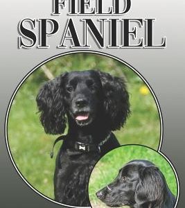 The Field Spaniel: A Complete and Comprehensive Owners Guide To: Buying, Owning, Health, Grooming, Training, Obedience, Understanding and