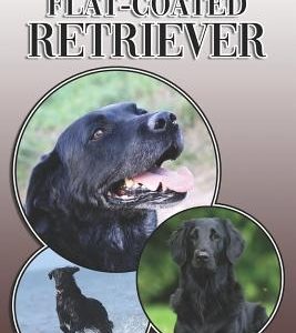 The Flat-Coated Retriever: A Complete and Comprehensive Owners Guide To: Buying, Owning, Health, Grooming, Training, Obedience, Understanding and