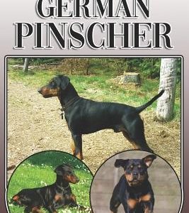 The German Pinscher: A Complete and Comprehensive Owners Guide To: Buying, Owning, Health, Grooming, Training, Obedience, Understanding and