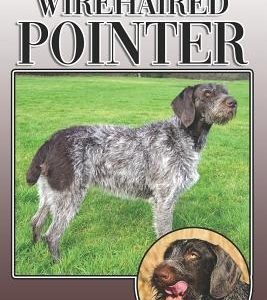 The German Wirehaired Pointer: A Complete and Comprehensive Owners Guide To: Buying, Owning, Health, Grooming, Training, Obedience, Understanding and