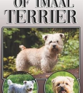The Glen of Imaal Terrier: A Complete and Comprehensive Owners Guide to: Buying, Owning, Health, Grooming, Training, Obedience, Understanding and