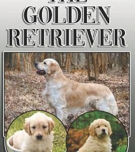 The Golden Retriever: A Complete and Comprehensive Owners Guide To: Buying, Owning, Health, Grooming, Training, Obedience, Understanding and