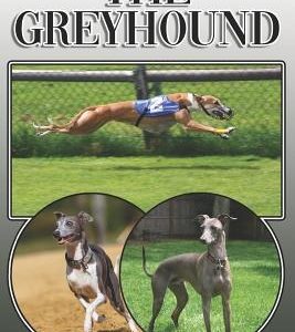 The Greyhound: A Complete and Comprehensive Owners Guide To: Buying, Owning, Health, Grooming, Training, Obedience, Understanding and