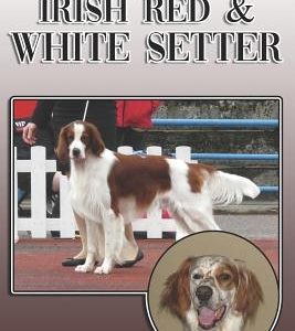 The Irish Red and White Setter: A Complete and Comprehensive Owners Guide To: Buying, Owning, Health, Grooming, Training, Obedience, Understanding and