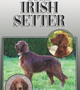 The Irish Setter: A Complete and Comprehensive Owners Guide To: Buying, Owning, Health, Grooming, Training, Obedience, Understanding and