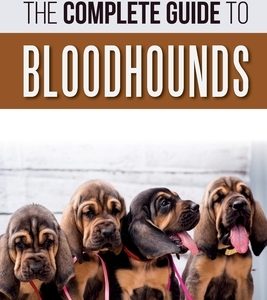 The Complete Guide to Bloodhounds: Finding, Raising, Feeding, Nose Work and Tracking Training, Exercising, and Loving your new Bloodhound Puppy