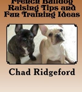 French Bulldog Raising Tips and Fun Training Ideas