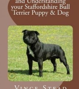 Have Fun Training and Understanding your Staffordshire Bull Terrier Puppy & Dog