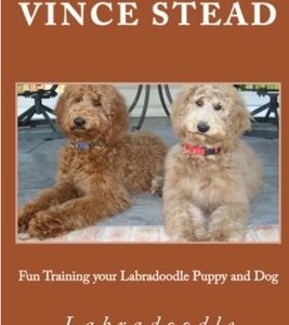 Fun Training your Labradoodle Puppy and Dog