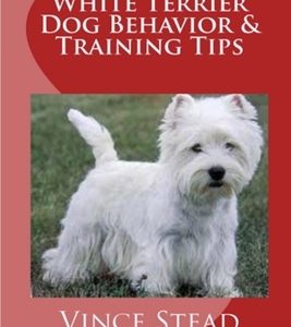 West Highland White Terrier Dog Behavior & Training Tips