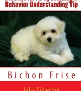 Bichon Frise Dog Training & Behavior Understanding Tips