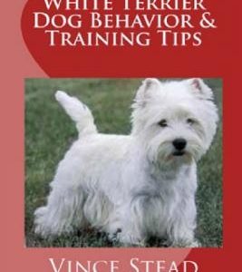 West Highland White Terrier Dog Behavior & Training Tips