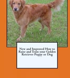 New and Improved How to Raise and Train your Golden Retriever Puppy or Dog