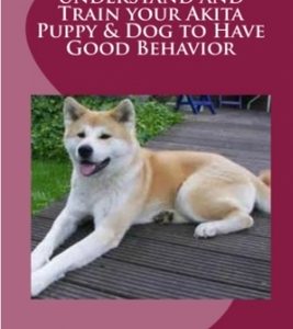 Learn How to Understand and Train your Akita Puppy & Dog to Have Good Behavior