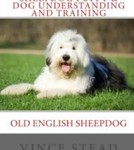 Old English Sheepdog Puppy & Dog Understanding and Training