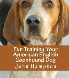Fun Training Your American English Coonhound Dog