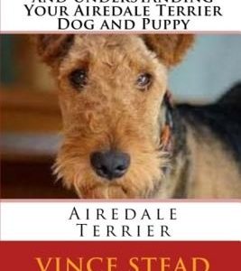 Fun with Training and Understanding Your Airedale Terrier Dog and Puppy