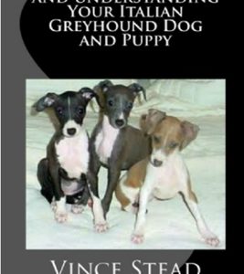 Fun with Training and Understanding Your Italian Greyhound Dog and Puppy