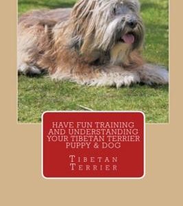 Have Fun Training and Understanding Your Tibetan Terrier Puppy & Dog