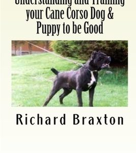 Understanding and Training your Cane Corso Dog & Puppy to be Good