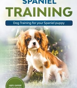 Spaniel Training - Dog Training for your Spaniel puppy