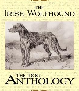 The Irish Wolfhound - A Dog Anthology (a Vintage Dog Books Breed Classic)