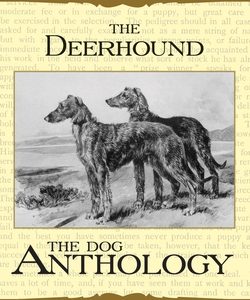 The Deerhound - A Dog Anthology (A Vintage Dog Books Breed Classic)