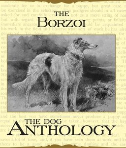 Borzoi: The Russian Wolfhound - A Dog Anthology (A Vintage Dog Books Breed Classic)