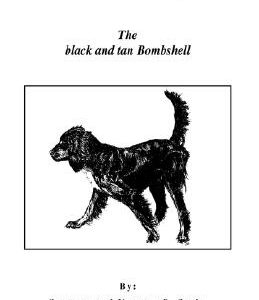 The Field Gordon Setter: The Black and Tan Bombshell