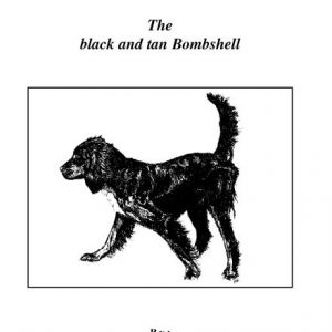 The Field Gordon Setter: The Black and Tan Bombshell
