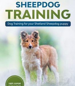 Shetland Sheepdog Training - Dog Training for your Shetland Sheepdog puppy