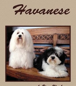 The Havanese