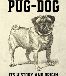 The Pug-Dog - Its History and Origin
