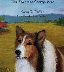 The Romance of the Collie