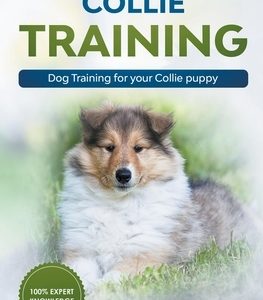 Collie Training - Dog Training for your Collie puppy
