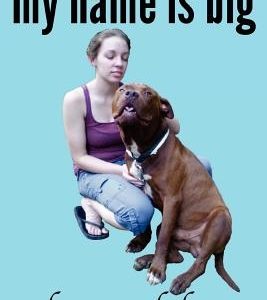 My Name is Big: The Search For a Home For a Pit Bull Rescue Dog