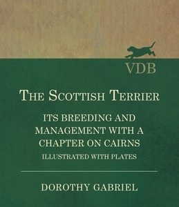 The Scottish Terrier - It's Breeding and Management With a Chapter on Cairns - Illustrated with plates