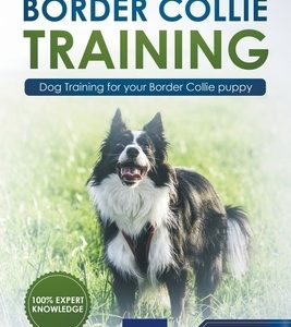 Border Collie Training - Dog Training for your Border Collie puppy
