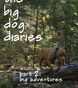 Big Adventures: The Big Dog Diaries