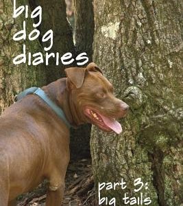 Big Tails: The Big Dog Diaries Part 3