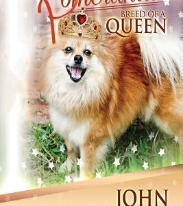 Pomeranian - Breed Of A Queen