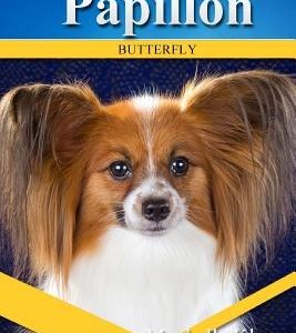 Papillons: Divine Dogs Online